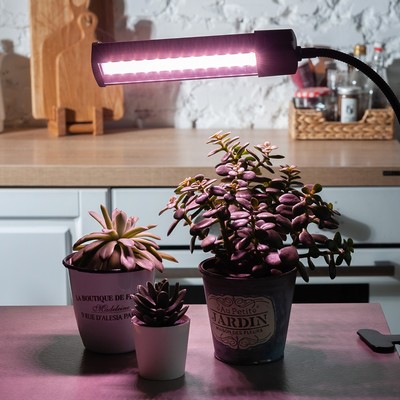 Светильник для растений светодиодный, на прищепке Uniel, 18 Вт, LED, IP40, 690х106х76 мм, цвет чёрный