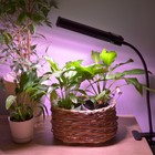 Светильник для растений светодиодный, на прищепке Uniel, 18 Вт, LED, IP40, 690х106х76 мм, цвет чёрный - Фото 6