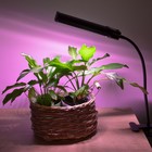 Светильник для растений светодиодный, на прищепке Uniel, 18 Вт, LED, IP40, 690х106х76 мм, цвет чёрный - Фото 7
