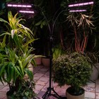 Светильник для растений светодиодный с таймером, на штативе Uniel, 60 Вт, LED, IP40, 2280х470х470 мм, цвет чёрный - Фото 4