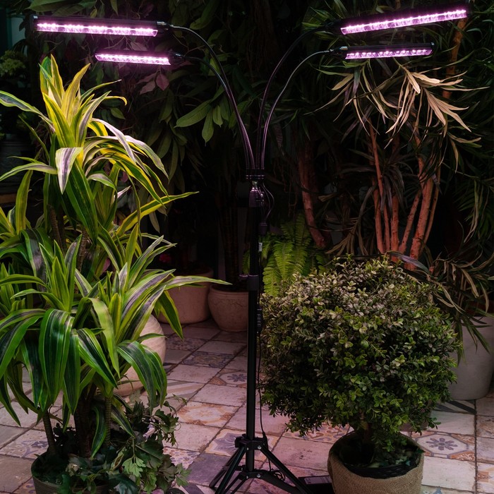 Светильник для растений светодиодный с таймером, на штативе Uniel, 60 Вт, LED, IP40, 2280х470х470 мм, цвет чёрный - фото 1908144719