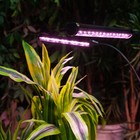 Светильник для растений светодиодный с таймером, на штативе Uniel, 60 Вт, LED, IP40, 2280х470х470 мм, цвет чёрный - Фото 5