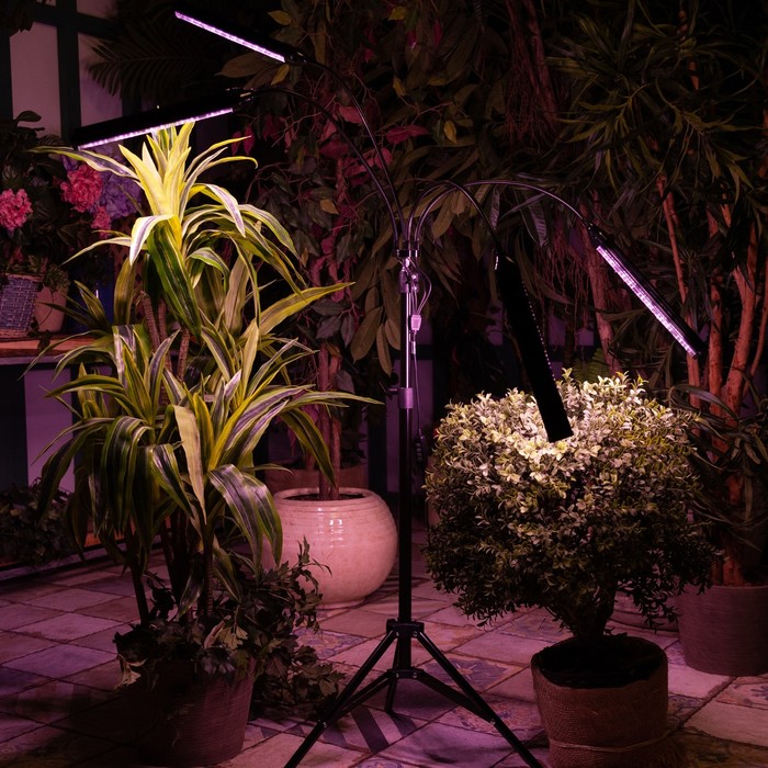 Светильник для растений светодиодный с таймером, на штативе Uniel, 60 Вт, LED, IP40, 2280х470х470 мм, цвет чёрный - фото 1908144721