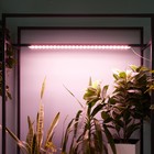 Светильник для растений светодиодный линейный, 900 мм Uniel, 14 Вт, LED, IP65, цвет прозрачный - Фото 11