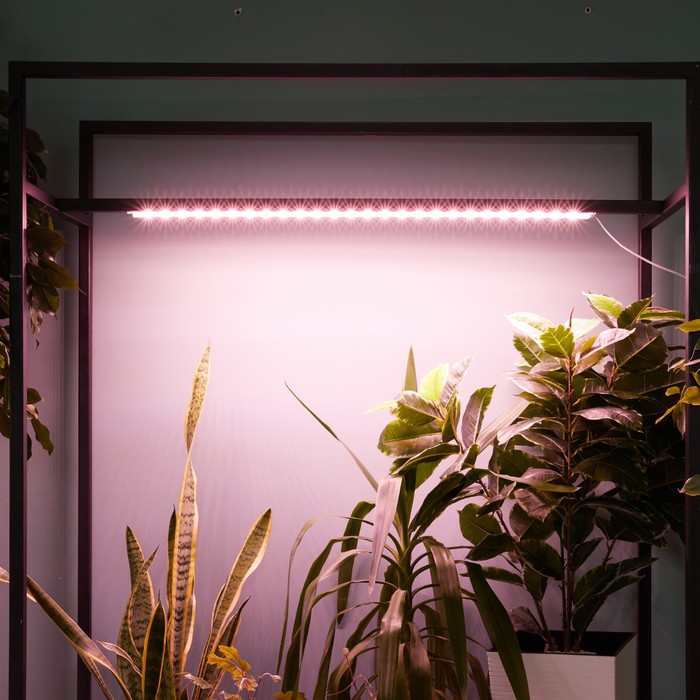 Светильник для растений светодиодный линейный, 900 мм Uniel, 14 Вт, LED, IP65, цвет прозрачный - фото 1908144733