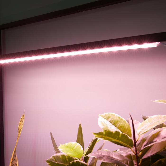 Светильник для растений светодиодный линейный, 900 мм Uniel, 14 Вт, LED, IP65, цвет прозрачный - фото 1908144729