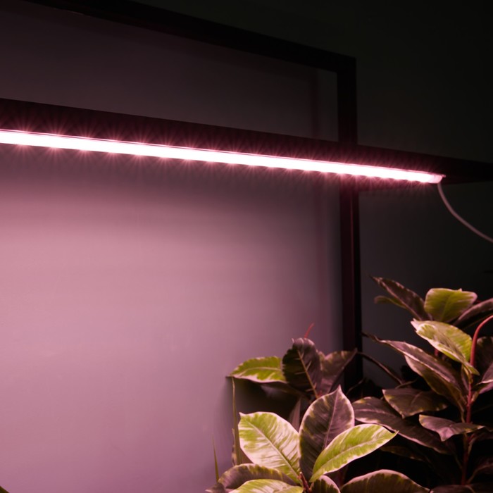 Светильник для растений светодиодный линейный, 900 мм Uniel, 14 Вт, LED, IP65, цвет прозрачный - фото 1908144730