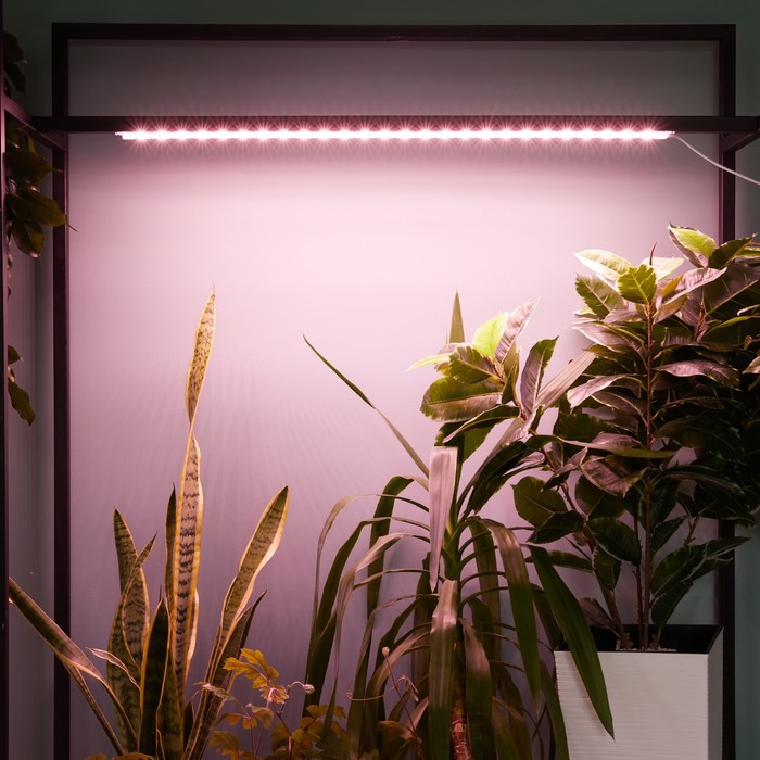 Светильник для растений светодиодный линейный, 900 мм Uniel, 14 Вт, LED, IP65, цвет прозрачный - фото 1908144731