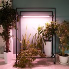Светильник для растений светодиодный линейный, 900 мм Uniel, 14 Вт, LED, IP65, цвет прозрачный - Фото 10
