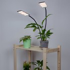 Светильник для растений светодиодный с таймером, на прищепке Uniel, 24 Вт, LED, IP40, 835х78х160 мм, цвет чёрный - Фото 7
