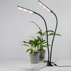 Светильник для растений светодиодный с таймером, на прищепке Uniel, 24 Вт, LED, IP40, 835х78х160 мм, цвет чёрный - Фото 8