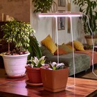 Светильник для растений светодиодный линейный, 560 мм Uniel, 18 Вт, BIO LED, IP40, цвет белый - Фото 8
