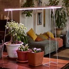 Светильник для растений светодиодный линейный, 872 мм Uniel, 24 Вт, BIO LED, IP40, цвет белый - Фото 6