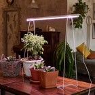 Светильник для растений светодиодный линейный, 872 мм Uniel, 24 Вт, BIO LED, IP40, цвет белый - Фото 7