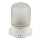 Светильник влагозащищенный Uniel, 60 Вт, E27, IP65, 137х107х84 мм, цвет белый - фото 4321365