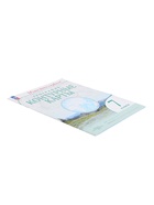 Контурные карты «География. Учись быть первым», 7 класс, 2024 - Фото 6