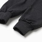 Брюки женские спортивные, цвет серый, р-р 50 - фото 24018246