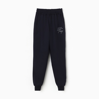 Брюки женские спортивные, синие, размер 46