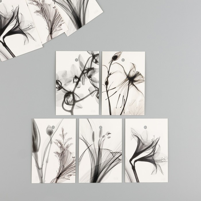 Бирка картон "Черная акварель" набор 10 шт (5 видов) 4х6 см - Фото 1