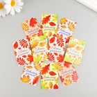 Бирка картон "С Днем учителя" набор 10 шт (5 видов) 4х6 см - фото 24003242