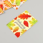 Бирка картон "С Днем учителя" набор 10 шт (5 видов) 4х6 см - фото 24003243