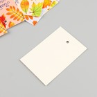 Бирка картон "С Днем учителя" набор 10 шт (5 видов) 4х6 см - фото 24003244