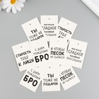 Бирка картон "Юмор" набор 10 шт (5 видов) 4х6 см - фото 9688405