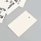Бирка картон "Юмор" набор 10 шт (5 видов) 4х6 см - фото 9688407