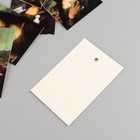 Бирка картон "Современная Лиза" набор 10 шт (5 видов) 4х6 см - Фото 4