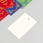 Бирка картон "Диплом" набор 10 шт (5 видов) 4х6 см - Фото 4