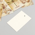 Бирка картон "Винтажная бабочка" набор 10 шт (5 видов) 4х6 см - фото 9688459