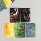 Бирка картон "Кожа змеи" набор 10 шт (5 видов) 4х6 см - фото 321503307
