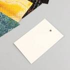 Бирка картон "Кожа змеи" набор 10 шт (5 видов) 4х6 см - Фото 4
