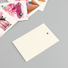 Бирка картон "Пионы" набор 10 шт (5 видов) 4х6 см - фото 9688500