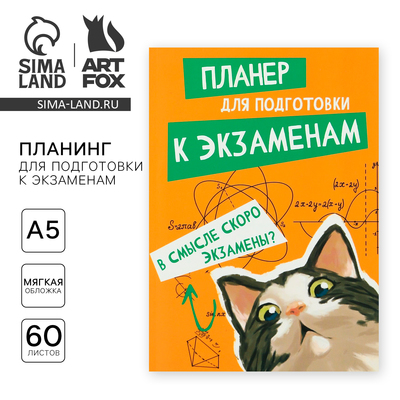 Планинг для подготовки к экзаменам, А5 60 л. Мягкая обложка «Кот»