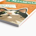 Планинг для подготовки к экзаменам, А5 60 л. Мягкая обложка «Кот» - Фото 2