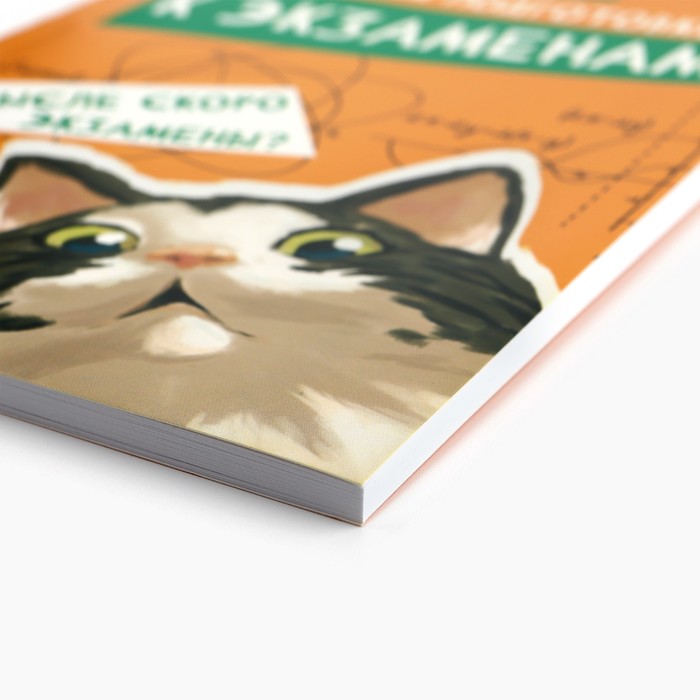 Планинг для подготовки к экзаменам, А5 60 л. Мягкая обложка "Кот"