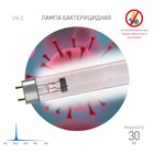 Бактерицидная ультрафиолетовая лампа ЭРА UV-С ДБ 30 Т8 G13 30 Вт Т8 - Фото 2