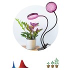 Светильник для растений на прищепке ЭРА FITO-20W-АLED-R красно-синего спектра 20 Вт черный   1047252 - фото 4321498