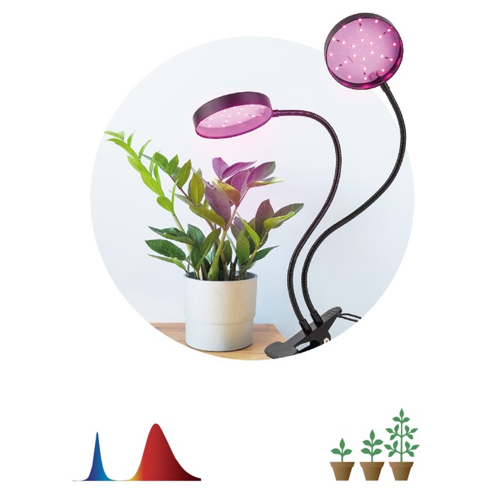 Светильник для растений на прищепке ЭРА FITO-20W-АLED-R красно-синего спектра 20 Вт черный   1047252