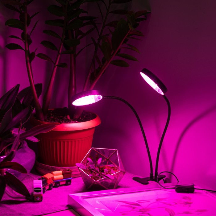 Светильник для растений на прищепке ЭРА FITO-20W-АLED-R красно-синего спектра 20 Вт черный   1047252 - фото 1908146745