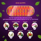 Светильник для растений ЭРА FITO-25W-QLED-FLY подвесной полного спектра 25 Вт - Фото 5