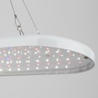 Светильник для растений ЭРА FITO-25W-QLED-FLY подвесной полного спектра 25 Вт - Фото 10