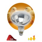 Инфракрасная лампа ЭРА ИКЗ 220-250 R127 кратность 1 шт Е27 / E27 для обогрева животных и освещения 2 - Фото 2