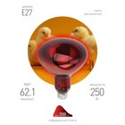 Инфракрасная лампа ЭРА ИКЗК 220-250 R127 кратность 1 шт Е27 / E27 для обогрева животных и освещения - Фото 1