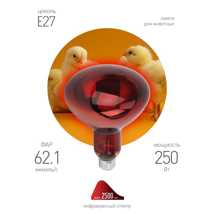 Инфракрасная лампа ЭРА ИКЗК 220-250 R127 кратность 1 шт Е27 / E27 для обогрева животных и освещения - Фото 1
