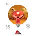 Инфракрасная лампа ЭРА ИКЗК 230-100 R95 E27 кратность 1 шт для обогрева животных и освещения 100 Вт - Фото 1