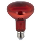 Инфракрасная лампа ЭРА ИКЗК 230-100 R95 E27 кратность 1 шт для обогрева животных и освещения 100 Вт - Фото 3