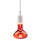 Инфракрасная лампа ЭРА ИКЗК 230-100 R95 E27 кратность 1 шт для обогрева животных и освещения 100 Вт - Фото 5