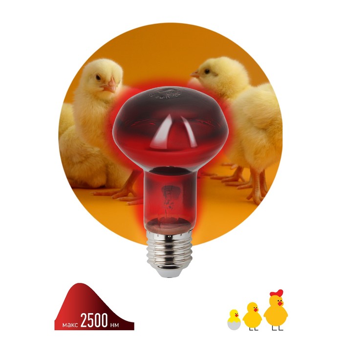 Инфракрасная лампа ЭРА ИКЗК 230-60 R63 Е27 для обогрева животных 60 Вт Е27 - Фото 1